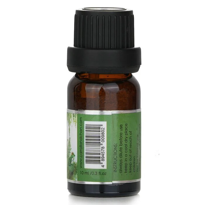 Carroll & Chan Fragrance Oil -  Tropical Forest 10ml - Image 3