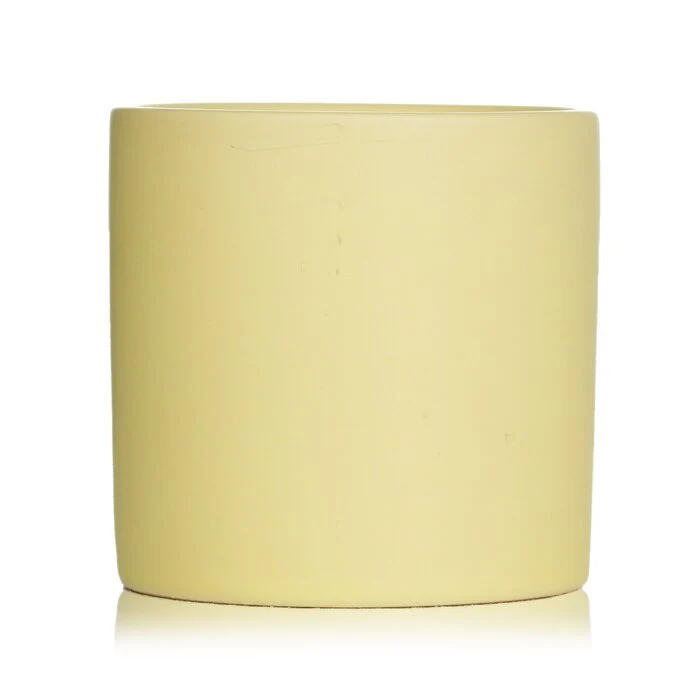 Paddywax Impressions Candle - Hang Loose 163g/5.75oz - Image 3